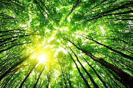 Seanergy Maritime releases its 2024 ESG Report