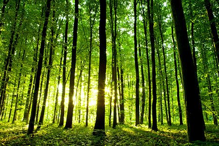 ICS: delivering on environmental sustainability relies on shipping being economically sustainable