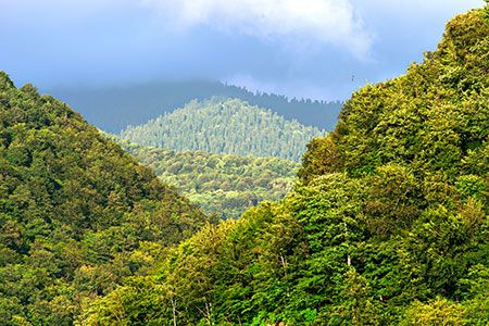 MiAMBIENTE recognises Panama Canal’s efforts to decarbonise its operations