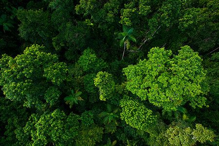 Diana Shipping Inc. release its 2024 ESG report