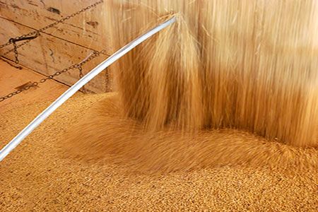 AgGateway creates grain handling information management standards