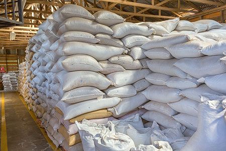 US wheat and corn exports jump