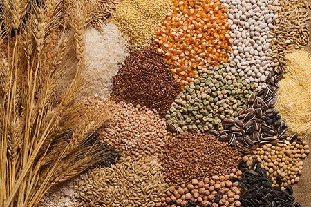 SSY Futures expands into the agricultural commodities business