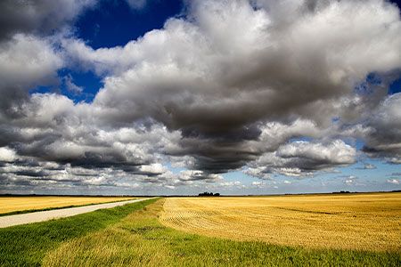 IPCC Climate Change Report – the joy of BECCS?