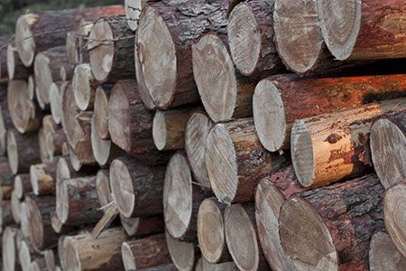 RPC UWC and Kronospan sign contract for timber transportation